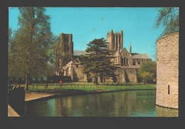 Wells - The Cathedral And Moat - Wells