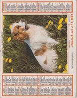 CALENDRIER PTT 1984 - Grossformat : 1981-90