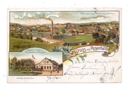0-8800 ZITTAU - ROSENTHAL, Lithographie 1899, Gasthaus Zur Weinau, Flachsspinnerei, Gesamtansicht - Zittau
