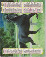 CALENDRIER PTT 1988 (   CHIEN Et CHEVAL ) - Big : 1981-90