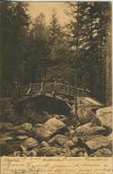 Okertal V.1905  Die Holzbrücke  (2072) - Oberharz