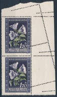 ** 1950 Virág 1,70Ft ívszéli Függőleges Pár Látványos Elfogazással - Andere & Zonder Classificatie