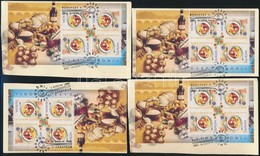 2005 Europa CEPT 10 Db Blokk FDC Kivágáson (17.000) - Sonstige & Ohne Zuordnung