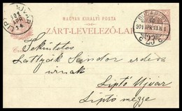 1901 - Altri & Non Classificati