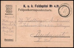 1915 Tábori Posta Levelezőlap 'K.u.K. FELDSPITAL No 4./8.' + 'REIFNITZ / RIBNICA' - Sonstige & Ohne Zuordnung