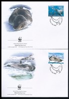 ** 2001 WWF: Leopárdfóka Sor 4 FDC-n + Négyestömb Mi 145-148 - Other & Unclassified