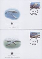 2003 WWF Bálna Sor Mi 353-356 4 FDC-n - Sonstige & Ohne Zuordnung