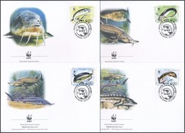 2004 WWF: Halak Sor 4 Db FDC-n Mi 4678-4681 - Sonstige & Ohne Zuordnung