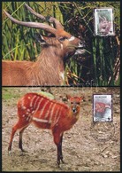 2004 WWF: Szitatunga Sor 4 Db CM-en Mi 1867-1870 - Autres & Non Classés