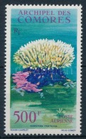 ** 1962 Korallok,
Coral
Mi 48 - Other & Unclassified