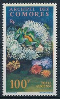 ** 1962 Korallok,
Coral
Mi 50 - Other & Unclassified