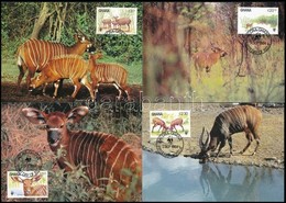 1984 WWF: Bongo Sor 4 Db CM-en,
WWF: Bongo Set On 4 CM
Mi 1060-1063 - Other & Unclassified