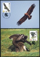 2007 WWF: Fekete Sas Sor 4 Db CM-en Mi 527-530 - Andere & Zonder Classificatie