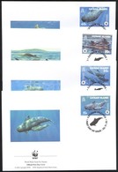 ** 2003 WWF Bálnák Sor + Sor 4 FDC-n Mi 970-973 - Other & Unclassified