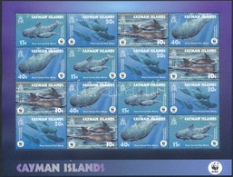 ** 2003 WWF: Delfin Sor + Kisív Mi 970-973 - Altri & Non Classificati