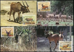 1986 WWF: Jávorantilop Sor 4 CM-n,
WWF: Common Eland Set On 4 CM
Mi 1078-1081 - Autres & Non Classés