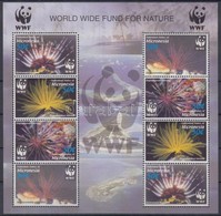 ** 2005 WWF: Tengeri Csillagok Kisív Mi 1674-1677 - Altri & Non Classificati