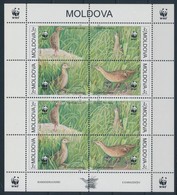 ** 2001 WWF Kisív Mi 379-382 - Autres & Non Classés