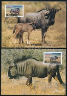 2000 WWF: Gnu Sor 4 Db CM 1757-1760 - Andere & Zonder Classificatie