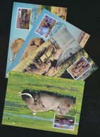 2002 WWF Afrikai Elefánt Sor Mi 2393-2396 4 CM - Andere & Zonder Classificatie