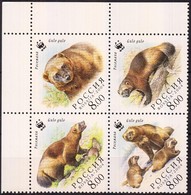 ** 2004 WWF Rozsomák ívsarki Négyestömb + Kisív Mi 1198-1201 - Other & Unclassified