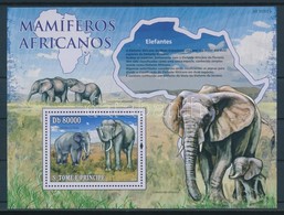 ** 2010 Afrikai Emlősállatok, Elefánt Blokk Mi 769 - Altri & Non Classificati