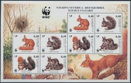 ** 2007 WWF: Európai Mókus Kisív Mi 640-643 - Altri & Non Classificati