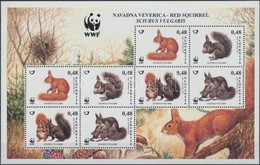 ** 2007 WWF: Európai Vörös Mókus Kisív Mi 640-643 - Sonstige & Ohne Zuordnung