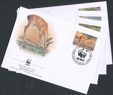 2001 WWF Antilop Sor 4 Db FDC-n Mi 702-705 - Altri & Non Classificati