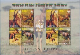 ** 2006 WWF Antilop Kisív Mi 4433-4436 - Altri & Non Classificati