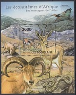 ** 2011 Afrikai állatok, Gazella Blokk Mi 652 - Autres & Non Classés