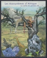 ** 2011 Afrikai állatok, Leopárd Blokk Mi 650 - Autres & Non Classés