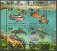 ** 2011 Afrikai élővilág - Halak Kisív Mi 4189-4192 - Autres & Non Classés