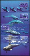 2006 WWF: Törpe Kardszárnyú Delfinek Sor 4 CM Mi 1307-1310 - Other & Unclassified