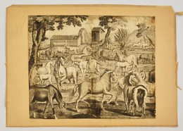 XVIII. Sz. Lovak. Rézmetszet, Papír. Körbevágva. / Horses. Etching.  35x30 Cm - Estampes & Gravures