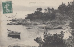 Plantes - Cactus Raquettes - Ajaccio - Plage Le Scudo - 1910 - Cactusses