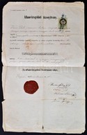 1870 Jogász államvizsgálati Bizonyítványa. - Unclassified