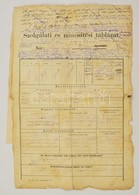 Cca 1895 Pénzügyi Fogalmazó Szolgálati Lapja és Hivatali Esküje. - Unclassified