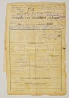 Cca 1895 Pénzügyi Fogalmazó Szolgálati Lapja és Hivatali Esküje. - Zonder Classificatie