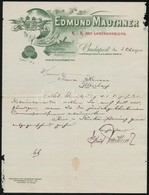 1904 Bp., Edmund Mauthner Vetőmagkereskedésének Fejléces Levele, Kézzel írt Német Nyelvű üzleti Levele, A Széleken Kis H - Unclassified