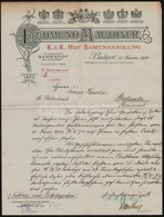 1910 Bp., Edmund Mauthner Vetőmagkereskedésének Fejléces Levele, Kézzel írt Német Nyelvű üzleti Levéllel - Non Classés