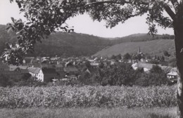 Allemagne - Dreis (Krs. Wittlich) - Panorama - Wittlich