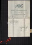 1918 Budapest Székesfőváros Törvényhatósági Bizottságának 1918. évi Május Hó 8.-án Tartott Rendes Közgyűlésének Jegyzőkö - Non Classificati