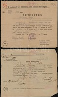 1921 Egy Perirat Anyaga és A Hozzá Tartozó Papírok, Levelek - Non Classés