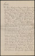 1890-1901 Széher Mihály (1817-1889) ügyvéd, Királyi Tanácsos, Pesti Képviselő 1877-es Címeres Levelének 1890. évi Hivata - Non Classés