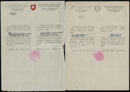 1944 Bp., 2 Db Svájci Követségi Csoportos Menlevél (Schutzpass), Az Egyik Korabeli Hamisítvány - Sonstige & Ohne Zuordnung