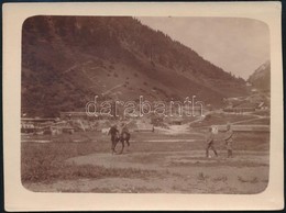 1916 Wolfsbach, Ausztria, Katonai Lókiképzés Vezetőszáron, Fotó, Hátoldalon Feliratozva, 8,5×11,5 Cm - Ohne Zuordnung