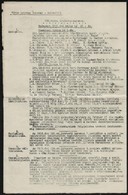 1919 Vörös Katonai Ruhatár Gépelt 125. Számú Intézeti Parancsa, 1919. Május. 31., Aláírások, Pecsét Nélkül, Hajtásnyomok - Non Classificati