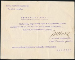 1918 Bp., Zerkovitz Emil Ezredes, Hajózási Kormánybiztos által Aláírt Katonai Okmány - Non Classificati
