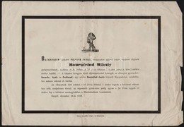 1856 Baurnfeind Mihály (1826-1856) Szegedi Gyógyszerész Halálozási értesítője, Hajtásnyomokkal, Szakadt, Foltos. - Non Classificati